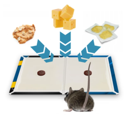 Große Klebefalle für Ratten, Mäuse und Nagetiere 40 × 25 cm No Pest